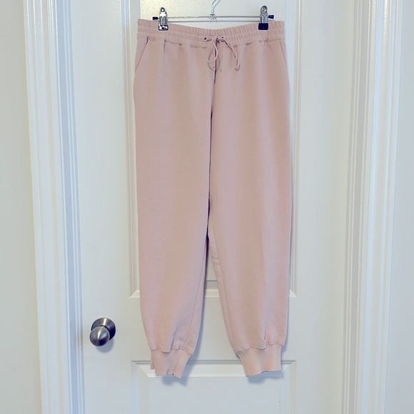 ARITZIA - Wilfred - light pink pants - size Small - Picture 1 of 4